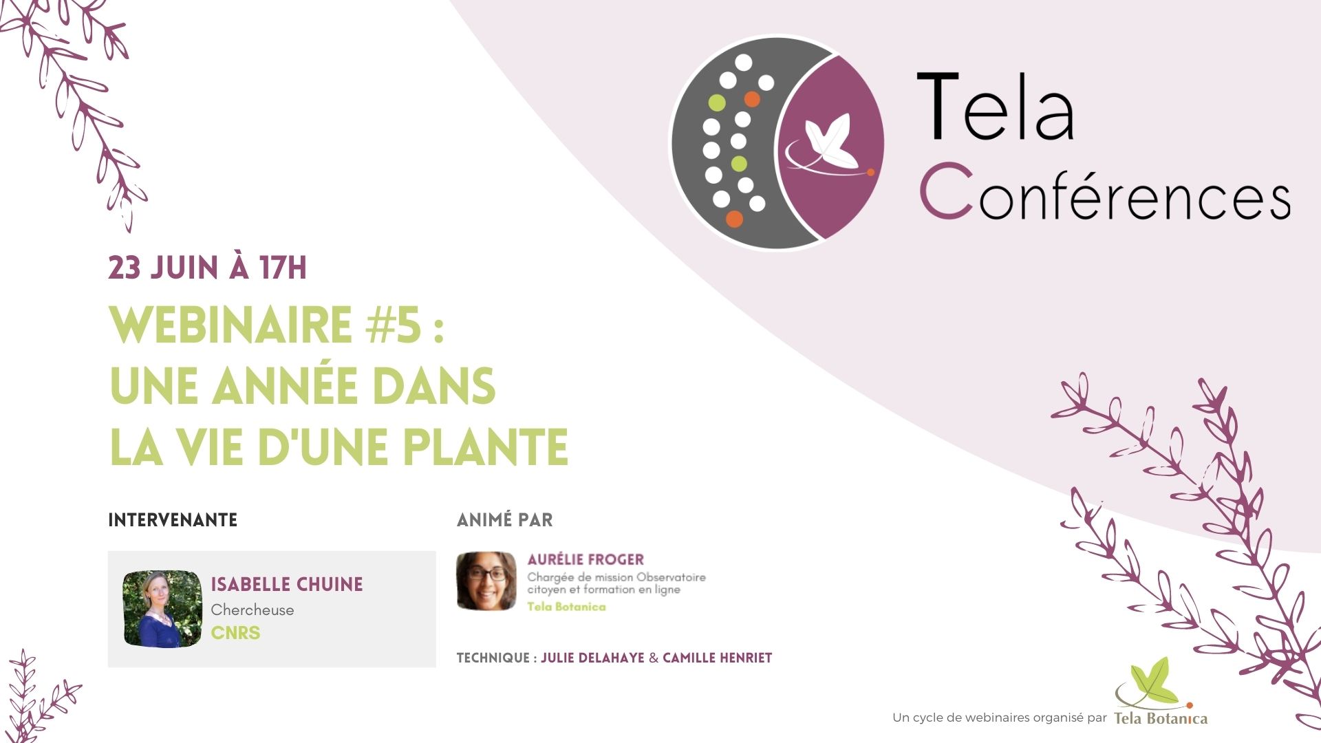 Photo de Une année dans la vie d'une plante, conférence d'Isabelle Chuine